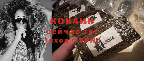 2c-b Богородицк